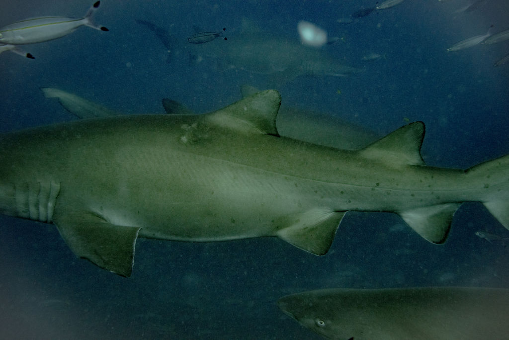 415b0099-8775-4534-a20d-9407d428ca71