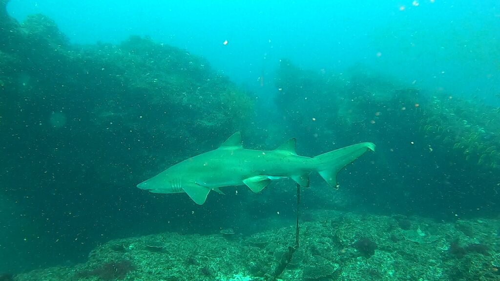 ceaf4ced-0c46-43bb-b96f-d92057d92ef7