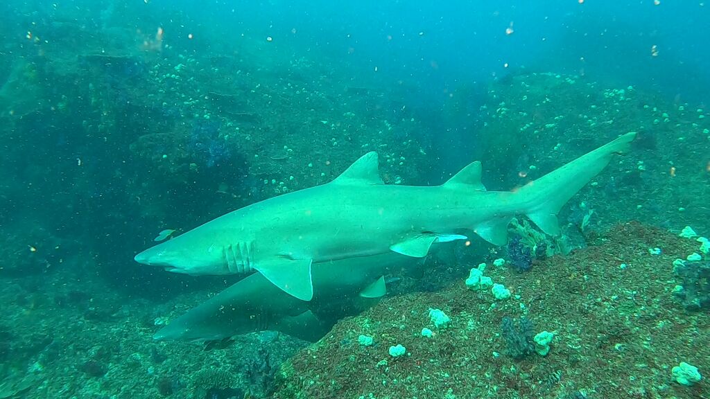 ceaf4ced-0c46-43bb-b96f-d92057d92ef7