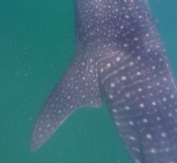 de534ddb-ba67-4d33-b270-b91579f8c24e