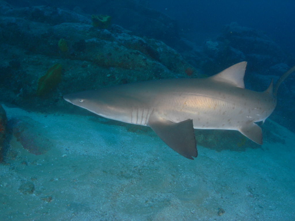 16c17852-a675-4a11-b520-39548c8a6843