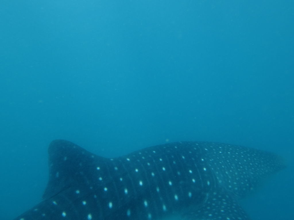 050507c4-bf75-4cb0-88b1-1cd6d8079cce