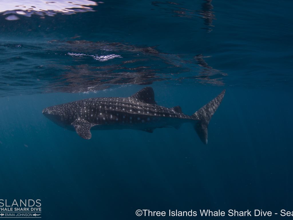 69ab9c61-7cac-4b30-973e-e781a16e1d9a