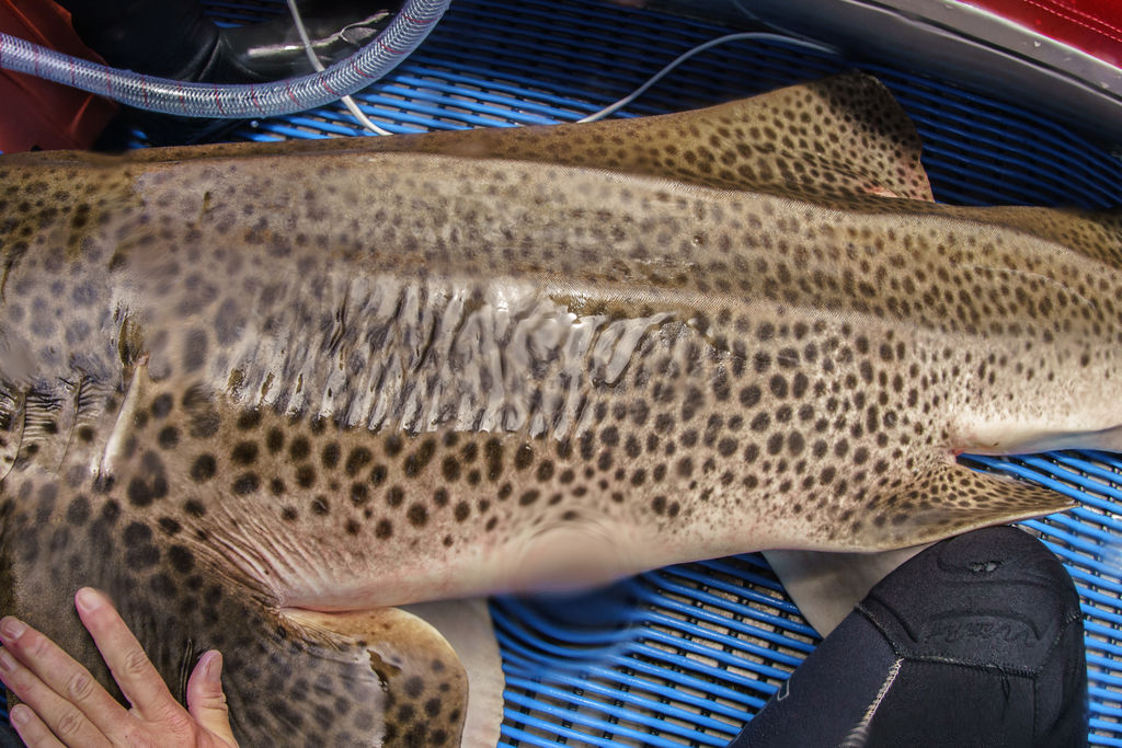 92015bd7-b8d5-41ce-9bb5-e73c214db1eb