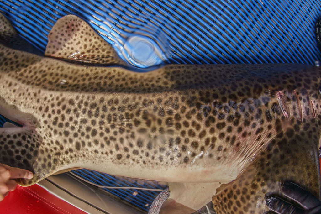 92015bd7-b8d5-41ce-9bb5-e73c214db1eb