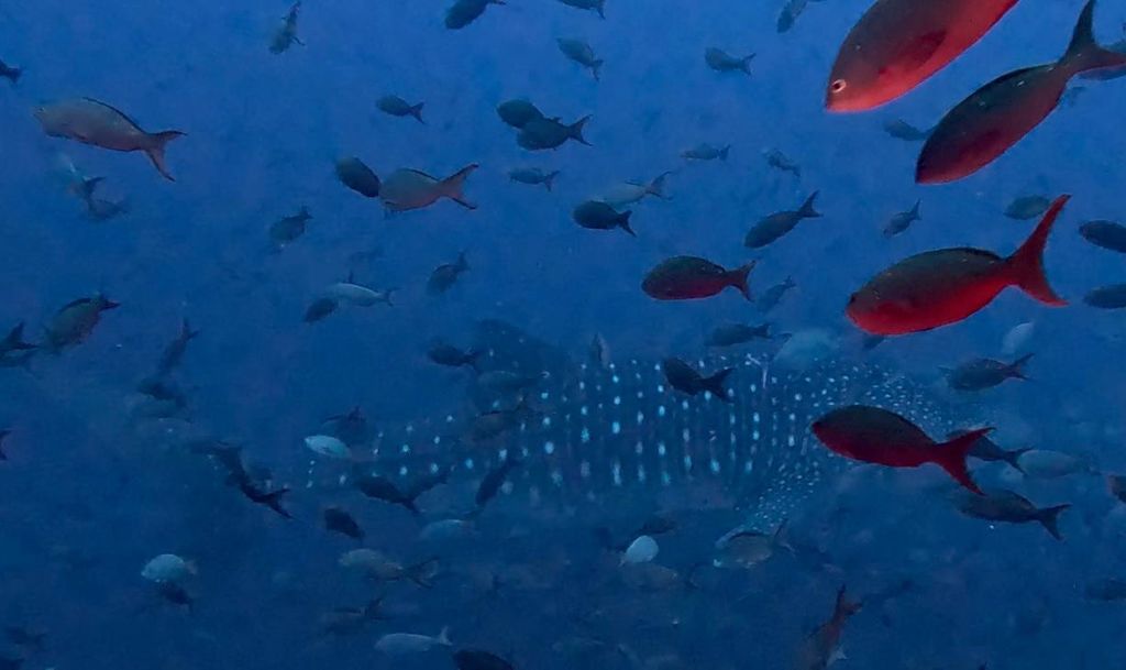 131c14c2-4cde-48cc-8c05-5a73a84839ba