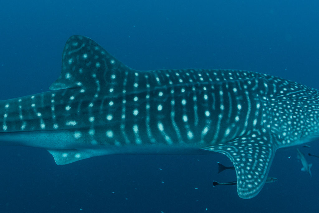 d50fb32e-275f-47d8-b596-40ee30eaa0ef