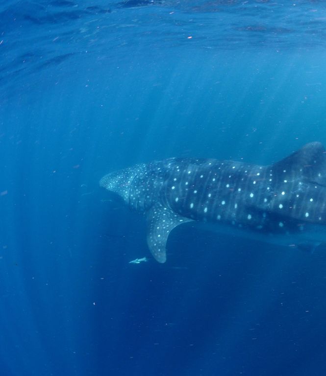 f8ee57c6-9f87-4e01-8325-a61e8c1ea2d3