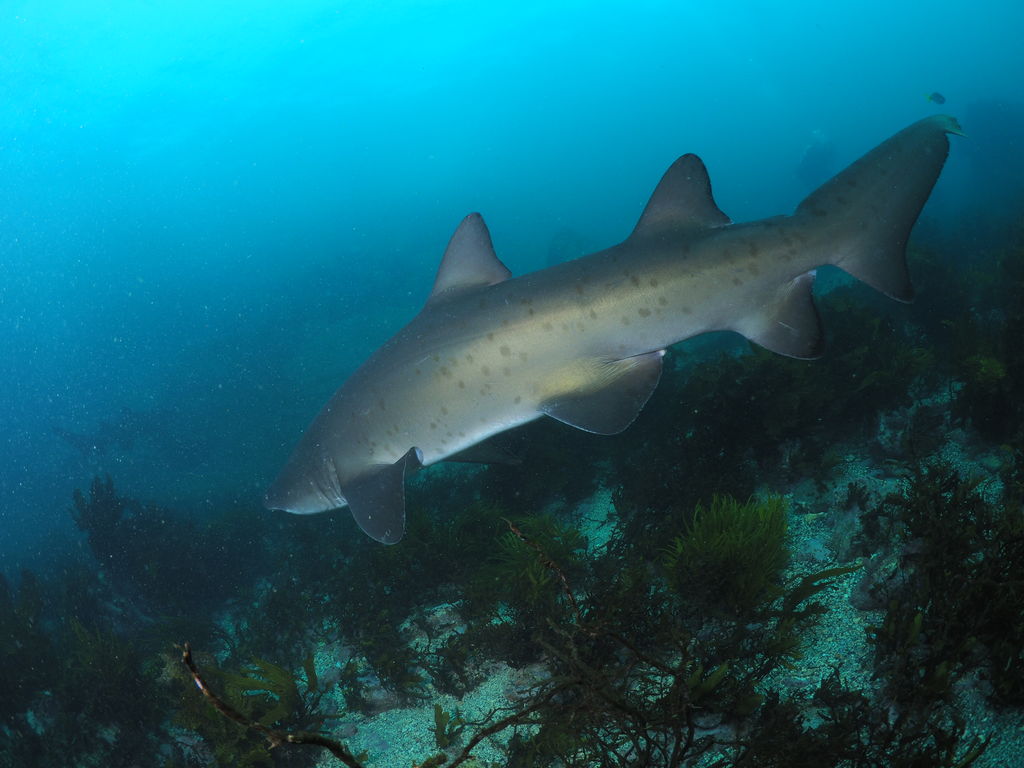 bd586eaf-e3a6-4f07-a372-6f8804183438