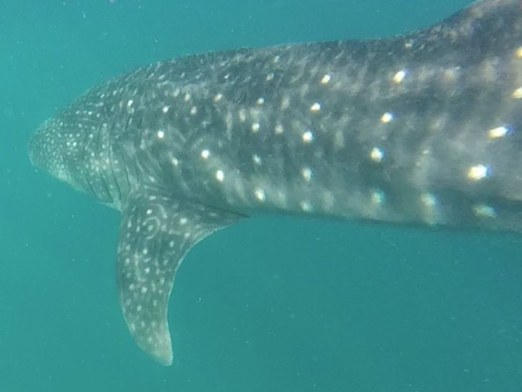 7844d3b0-db1d-4eca-b8fb-78ce7f654362