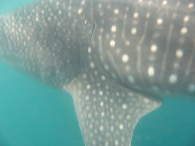 d5e220cc-3032-455d-b4e4-fd30d26bd1c8