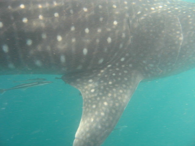 d5e220cc-3032-455d-b4e4-fd30d26bd1c8