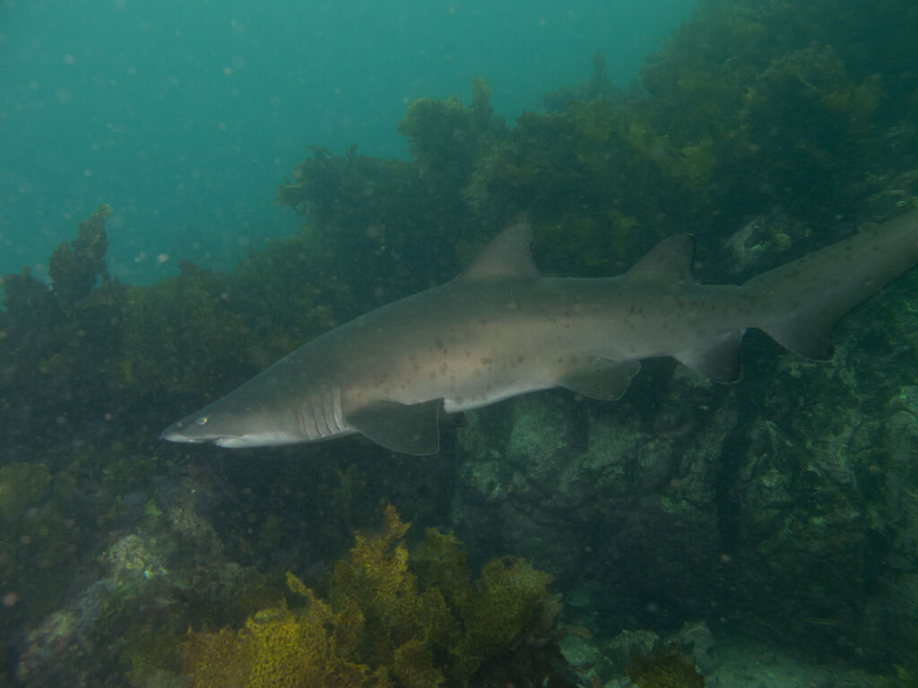 319b7026-8634-4443-889e-b721caa9c486