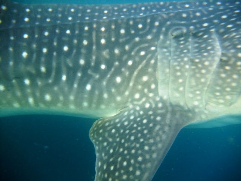 71a5e21b-ec19-4f7b-9b80-0062e048bf56