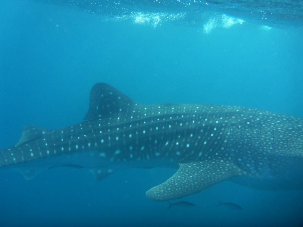 0b275e05-5938-4156-b4a7-e7924989e7ea