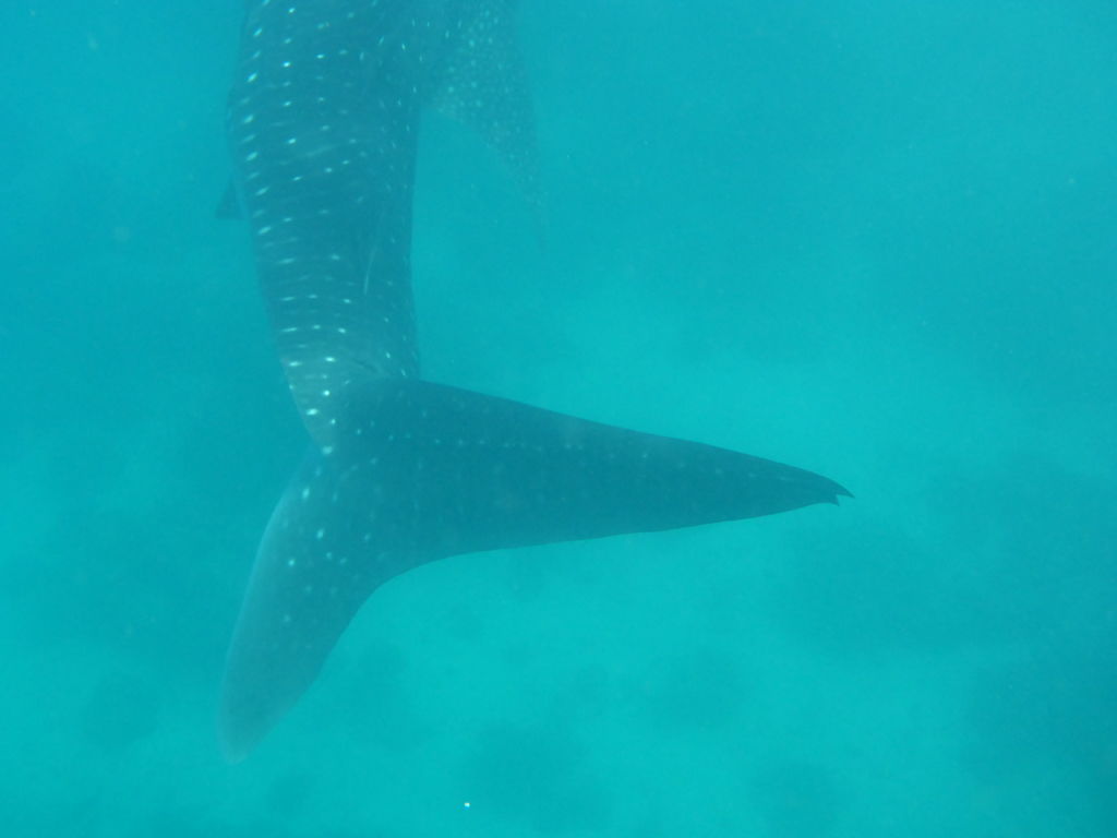 0b275e05-5938-4156-b4a7-e7924989e7ea