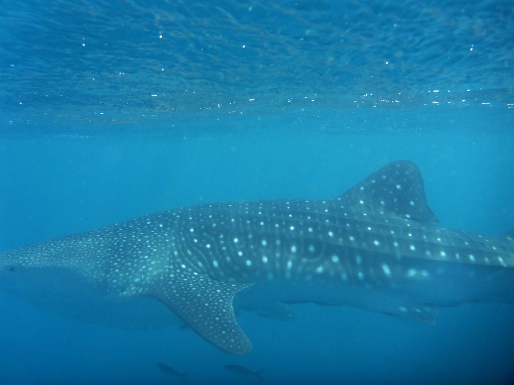 0b275e05-5938-4156-b4a7-e7924989e7ea