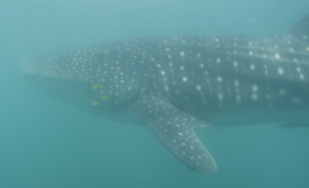 80937ce1-5ed2-47e2-bbaa-d9b4eb9a0ff5