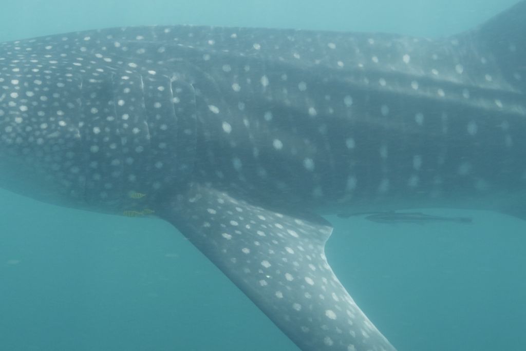 80937ce1-5ed2-47e2-bbaa-d9b4eb9a0ff5