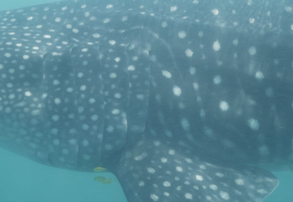 80937ce1-5ed2-47e2-bbaa-d9b4eb9a0ff5