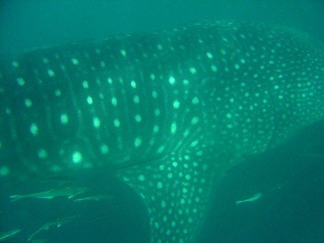 58178f08-c283-4592-9542-64789d74345f