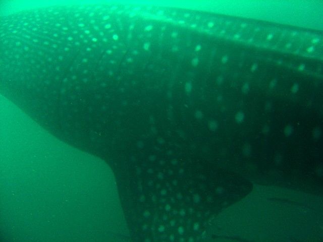 58178f08-c283-4592-9542-64789d74345f