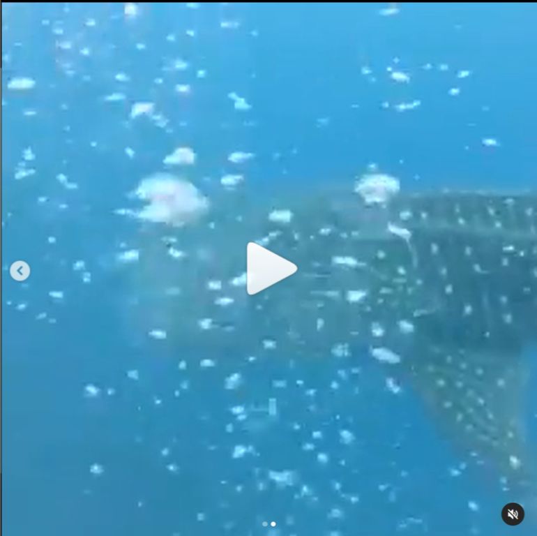 e5d7e857-9065-461c-b471-7664844c0c6c