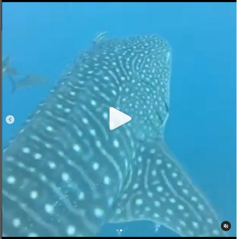 e5d7e857-9065-461c-b471-7664844c0c6c