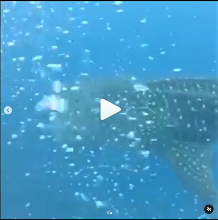 e5d7e857-9065-461c-b471-7664844c0c6c