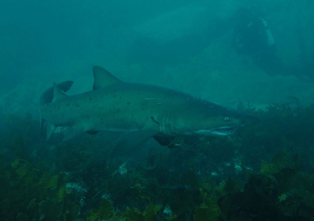 44bd9db7-4b90-4371-933a-74761b49d32a