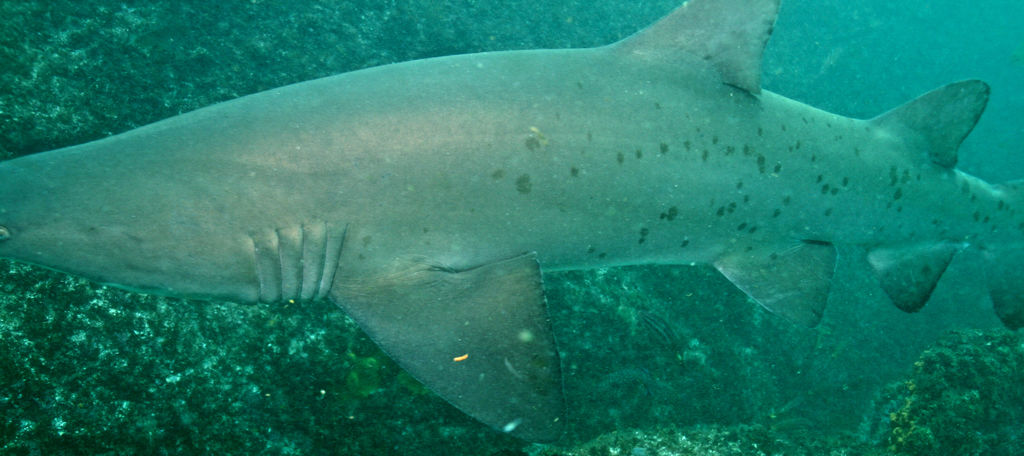 23f22487-4791-4dd0-8946-2062cd22846c