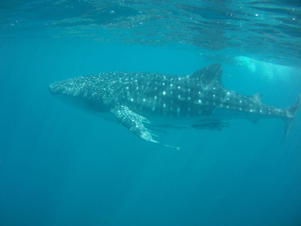 72aff6ab-e983-4086-a2fe-27e81d4364a8