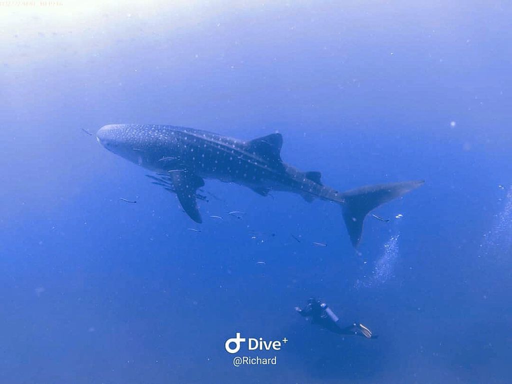 8e0205a6-81a5-4fca-bab8-27c7c0ba1657