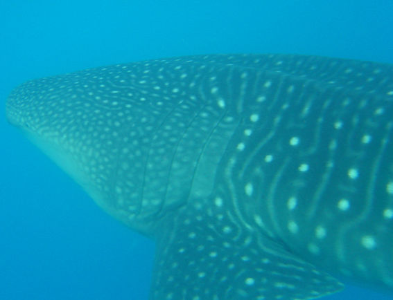 9da07546-7bc6-45fd-a1ca-bff47ac9d944