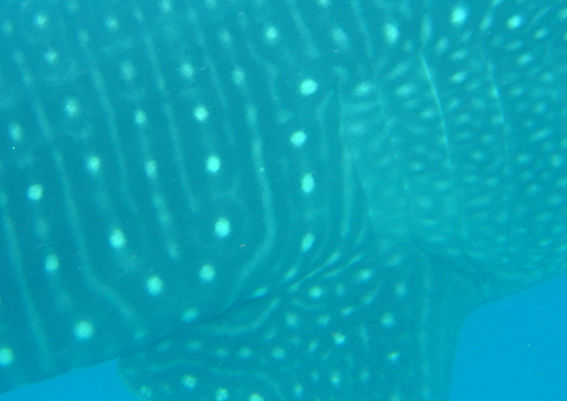 9da07546-7bc6-45fd-a1ca-bff47ac9d944