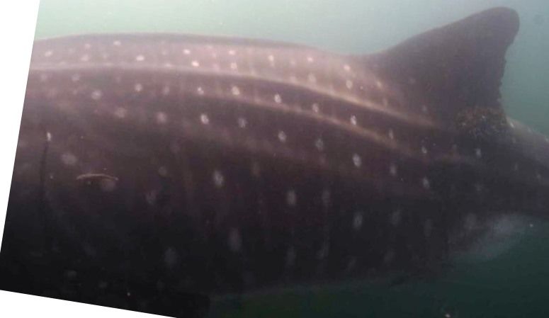 d71b37e5-d6a2-4f43-92e3-2bbbf5af4464