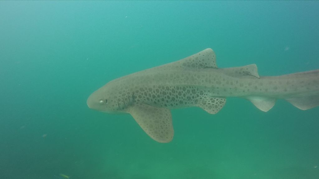 b5449b48-6042-4655-a1b7-74cb8280e2a5