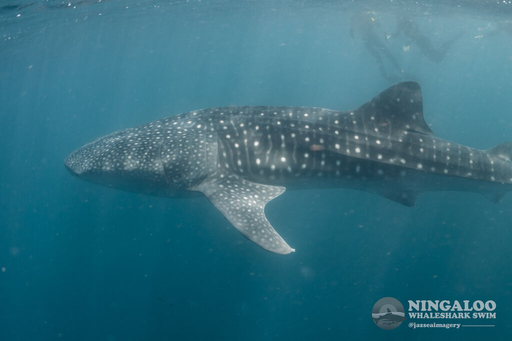 36fa390d-8401-4861-bf03-b170bdf2b6c4