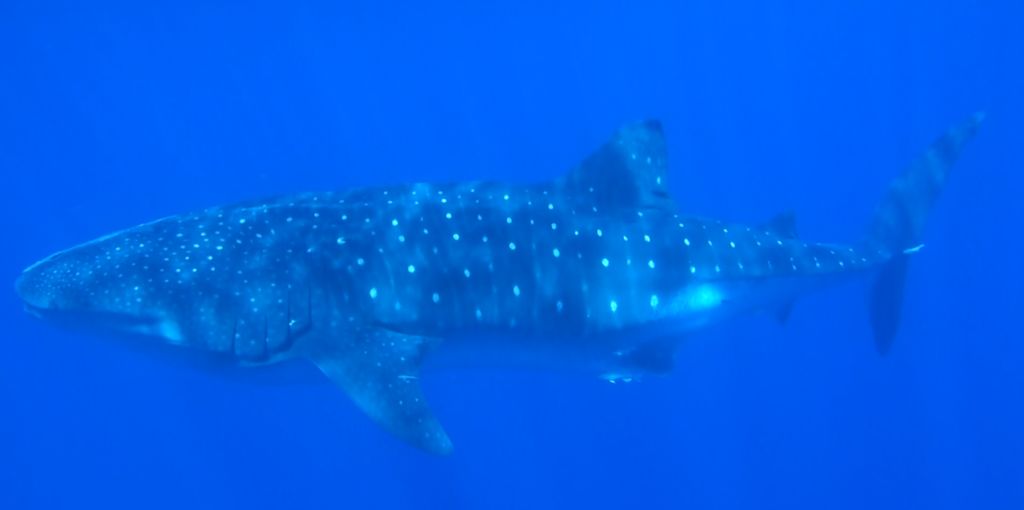 adebc9c9-4e21-4cbf-8d0a-5de49734f911