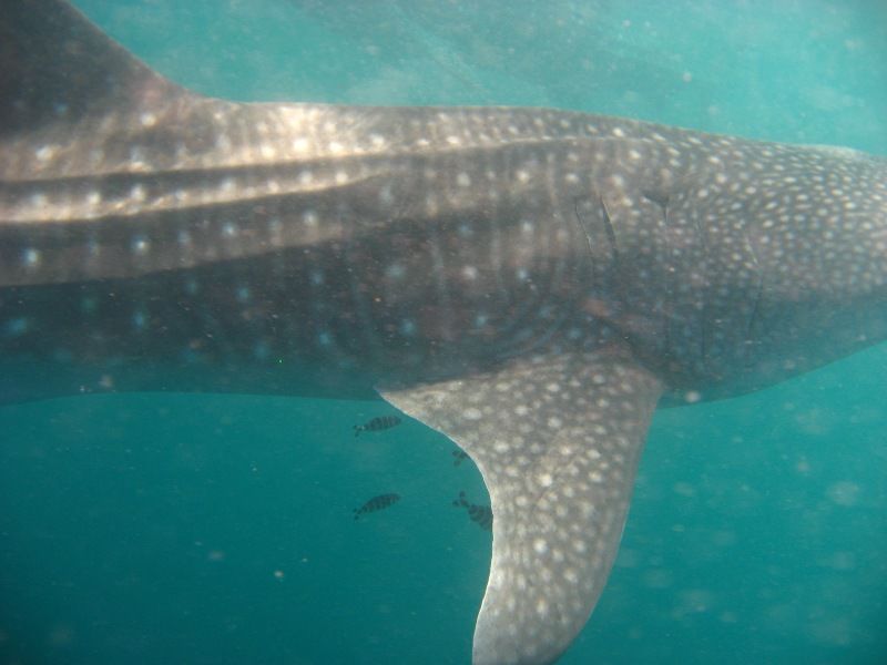 a4029d4f-2fb0-42a8-87fb-30678cc896ce