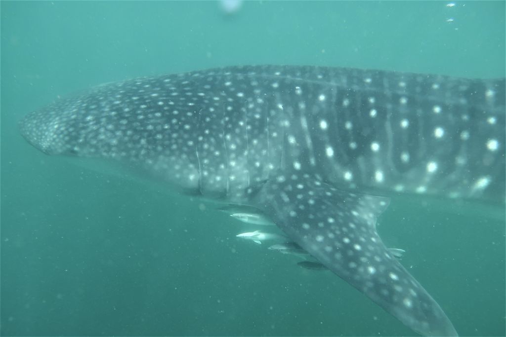 03be09d0-7c9c-441a-9d5c-54f4471fae4b