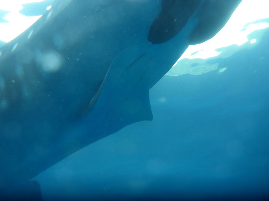 fc29b3d6-2953-468b-92a1-583f73638d34