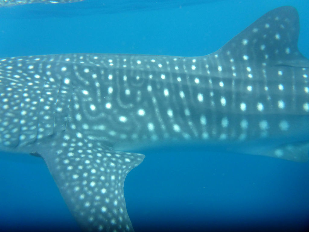 fc29b3d6-2953-468b-92a1-583f73638d34