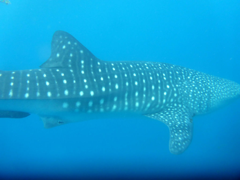 fc29b3d6-2953-468b-92a1-583f73638d34