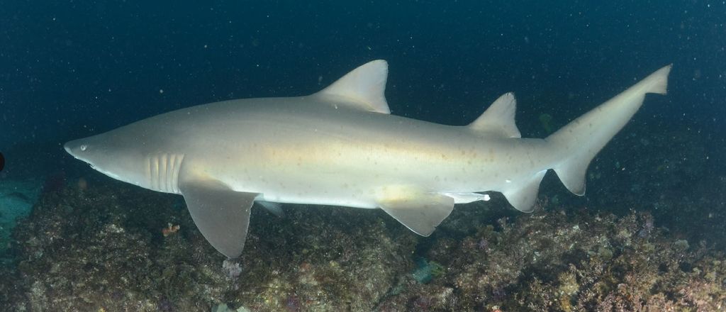 184b3a22-3538-45a3-8b50-303db5d2103a