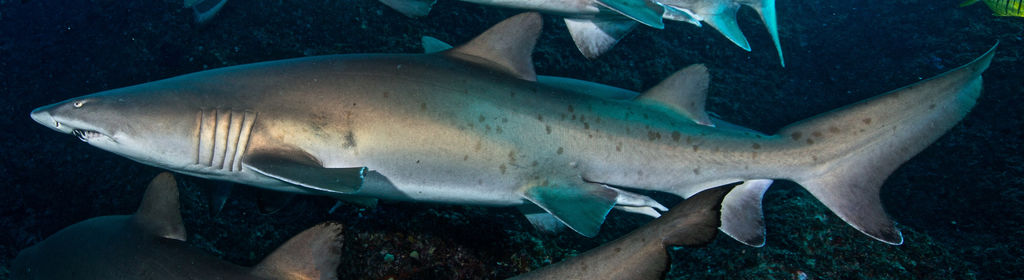 39ca857f-aef1-46a7-8cf5-63ac92020fb1