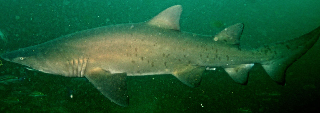 b8054758-483e-4370-ad01-2ea1ace10f96