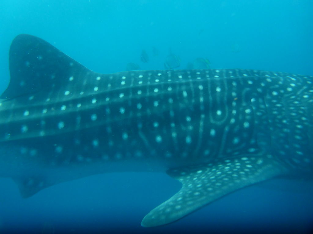 bd72a588-d713-4778-b439-174ee66cde85