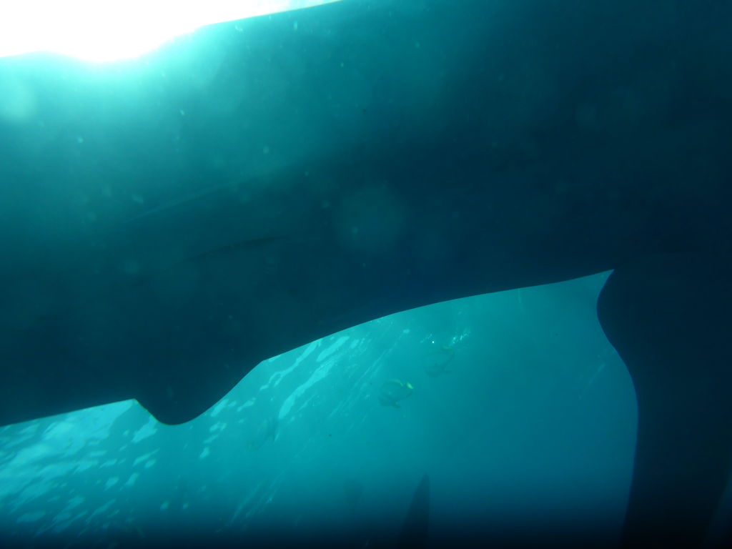 bd72a588-d713-4778-b439-174ee66cde85