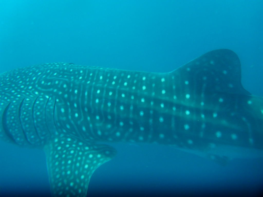 bd72a588-d713-4778-b439-174ee66cde85